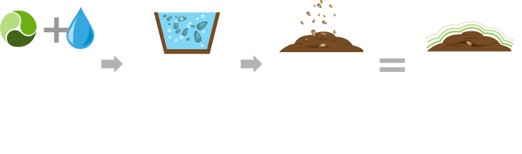 Trattamenti delle sementi